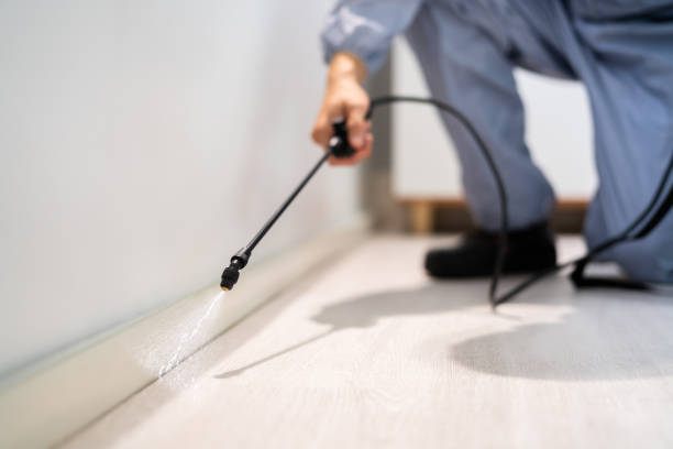 Bed Bug Pre-Treatment Preparation Assessment in Wilder