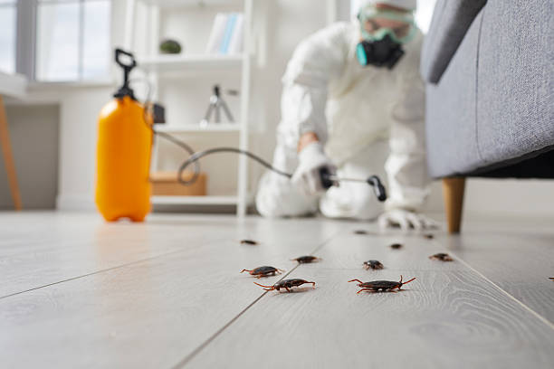 Post-Treatment Bed Bug Interceptor Monitoring in Wilder