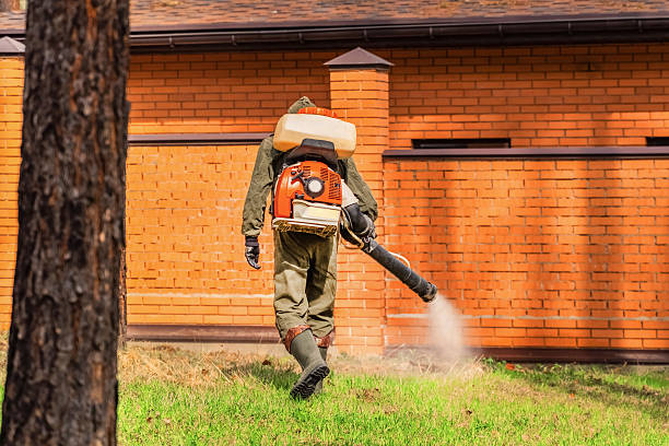Bed Bug Clearance Verification and Documentation in Wilder